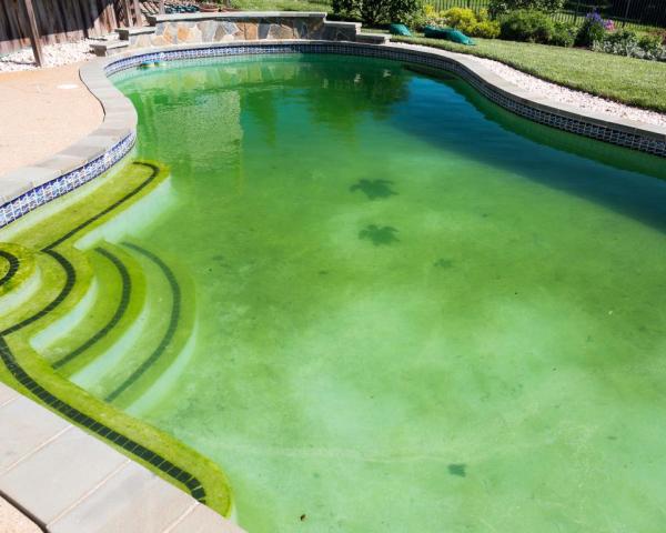 Comment rattraper une piscine verte en moins de 48H ?